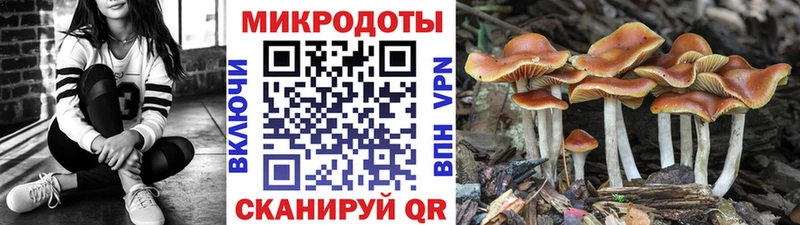 Псилоцибиновые грибы мицелий  Приозерск 